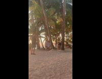 Women in white dresses dance around palm tree
