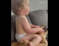 Baby boy sits on golden retriever dog 