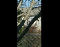 Girl backyard balcony tiktok dance