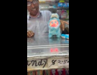 Fake labubu toy with lights and move