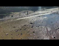 Collab DailyDoseOfInternet - Dried pond with leaf covered mud pattern