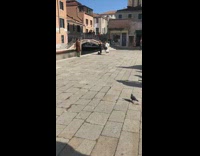 Guy wave brown coat jacket canal bridge