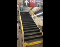Mouse rat runs fast up stairs at subway station