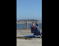 Black bikini girl brown dog beach seaweed 
