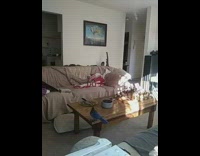 Blue bird and squirrel inside living room 