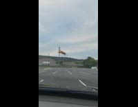 Bee on the windshield of filmers car