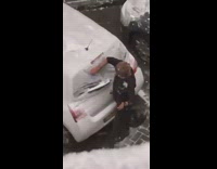 Guy hold tripod throw snowball on face