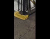 Recorder chases mouse down subway station stairs
