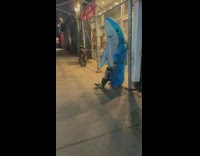 Person in shark costume vacuuming street