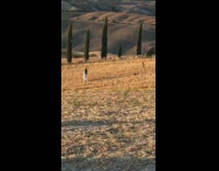 People different photo shoot sunset field tourist