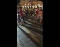 Dog guard people on pedestrian from vehicles