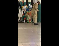 Man brings cart of birds, cats, and dogs into subway train