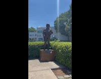 Bird on soldier statue makes different noises