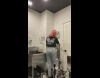 Girl in black hoodie preparing food for group of hungry cats