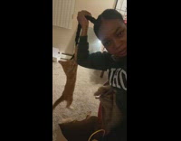 Collab BitchMP - Orange cat hangs from girls hair