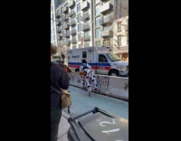 Person dressed as cow talks to ambulance