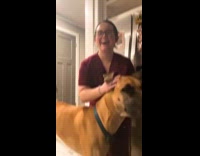 Dog loves getting ear scratches 