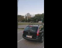 Zebra walks across parking lot black car 