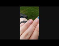 Small bug lands and crawls on filmers hand