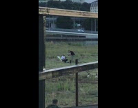 Guy white shirt sit grass rap video