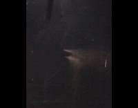 Guy gets attacked by skeleton with chainsaw run song