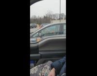 Collab BitchMP - Dogs are trainable dog in car in drivers seat