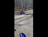 Little girl head back purple jacket pink car