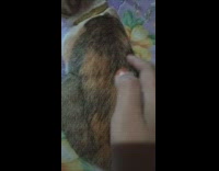 Lady touches cat back and spine move 