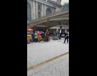 Collab winy - Cockroach Man in front Grand Central Station