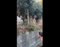 Collab Clips MPUGC - Woman in white dress arguing with turkey