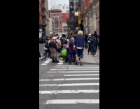 Group protest pulls fake Trump on leash