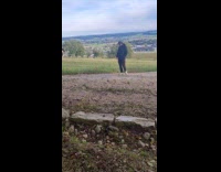 Dog approach then excitedly run around grass field