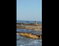 Lady poses on one leg with arms out 