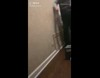 Collab BS Media - Guy screams and punches white mannequin head 