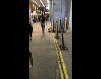 Dog walks with clothes with her owner at night 