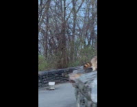 Racoon on wall stare down with filmer