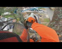 Compilation video of wood and tree branch cut with chainsaw