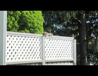 Squirrel lay under sun nap on fence