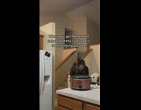 Guy gets home from school and sees crockpot 
