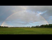 Guy shows rainbow and double leaf clover