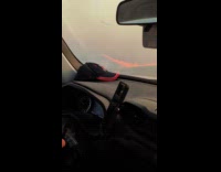 Wildfire on the side of the road