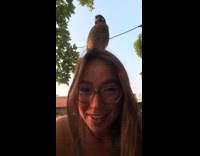 Collab Clips MPUGC - Bird on top of girls head
