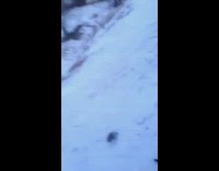 Girl rides orange sled down hill fail 