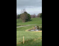 Man attacked by goose at golf course fell into pond