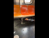 Pizza slices inside zip lock bag subway