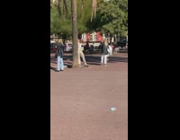 Two women in a different photoshoot beside a palm tree