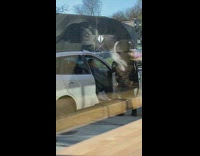 Girl poses passenger side seat white car