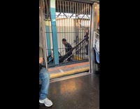 Man suddenly runs screaming out of subway