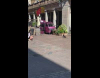 Two pugs sit in front of Hello London Signage