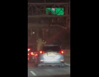 Collab WINY - Two guys sits car window on road